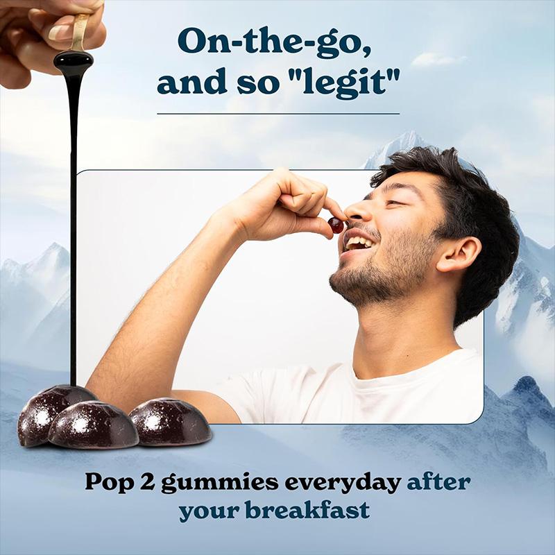 Pure Himalayan Shilajit Gummies - Image 3