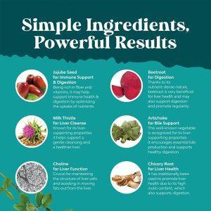 Infographic showing key ingredients in JiaBei Health Liver Support, including Jujube Seed for Immune Support, Beetroot for Digestion, Milk Thistle for Liver Cleanse, Artichoke for Bile Support, Choline for Liver Function, and Chicory Root for Liver Health.