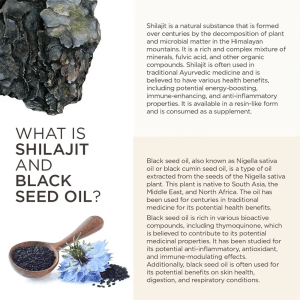 An infographic explaining Shilajit and Black Seed Oil. The left side features images of shilajit resin and black seeds (Nigella sativa seeds) in a wooden spoon. The right side contains text detailing Shilajit as a natural substance from the Himalayan mountains, rich in fulvic acid, and Black Seed Oil's origins, active compounds like thymoquinone, and its potential anti-inflammatory, antioxidant, and immune-modulating effects.