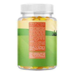 Children's Omega-3 DHA Gummies safety warnings, allergen statements, and FDA disclaimer for supplement distributors