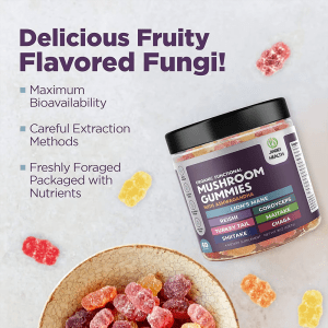 JiaBei Health Organic Functional Mushroom Gummies with Lion’s Mane, Ashwagandha, and Reishi, emphasizing maximum bioavailability, careful extraction methods, and freshly foraged packaged nutrients, with a delicious fruity flavor
