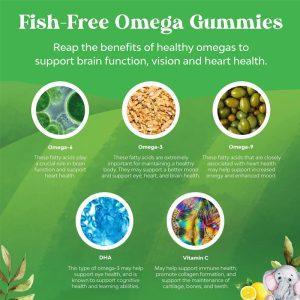 Benefits of Omega fatty acids (DHA, ALA) and Vitamin C in children's dietary gummies