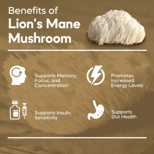 An image of Lion's Mane Mushroom with text highlighting its benefits: Supports Memory, Focus, and Concentration; Promotes Increased Energy Levels; Supports Insulin Sensitivity; and Supports Gut Health, as found in Nootropic Mind Capsules.