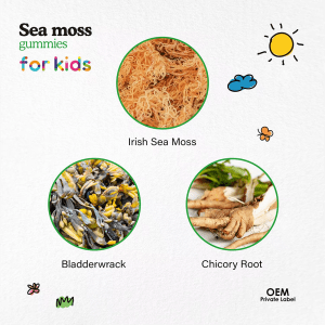Key natural ingredients of Jiabei Health Sea Moss Gummies for Kids: Irish sea moss, bladderwrack, and chicory root
