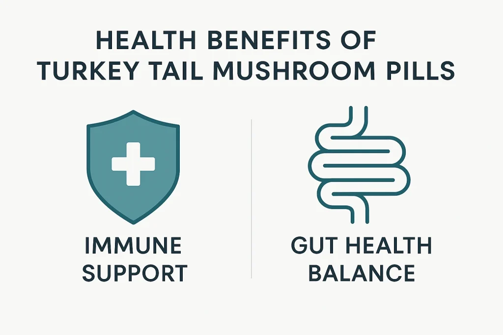 Infographic illustrating health benefits of turkey tail mushroom pills with shield icon for immune support and intestine icon for gut health balance