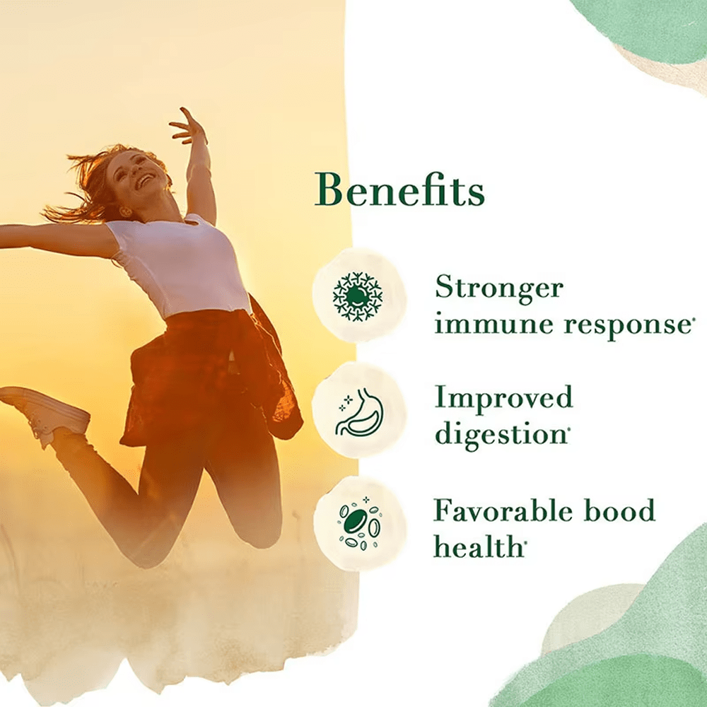 Jiabei Health chlorophyll gummies OEM manufacturer supporting immune response, digestion, and blood health