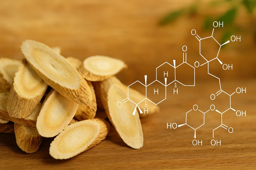 Realistic photo of dried astragalus root slices with overlaid molecular structures representing polysaccharides and saponins research.