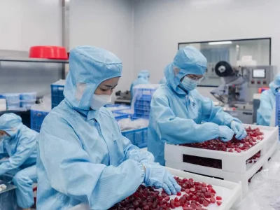 Workers sorting gummy supplements in a clean manufacturing facility